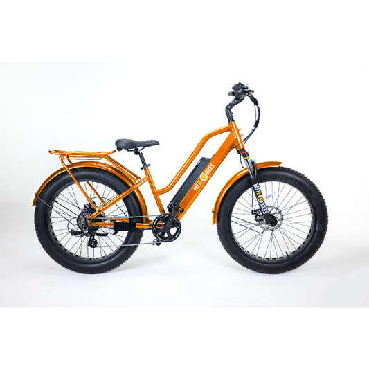 Fat tire electric bike step through 750 watt motor