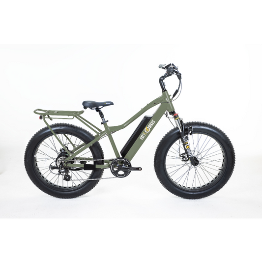 Fat tire electric bike all terrain 750 watt motor Sgt Mingo